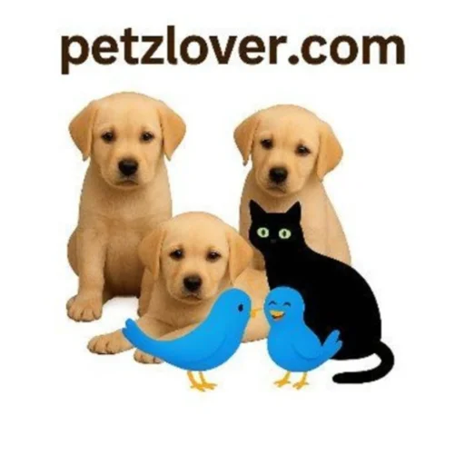 Petzlover's avatar